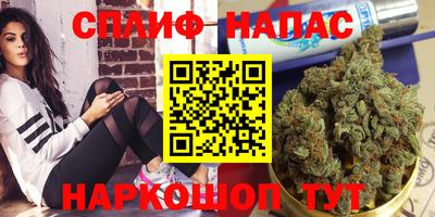 винт Тула
