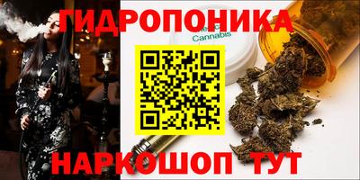 ECSTASY Туймазы