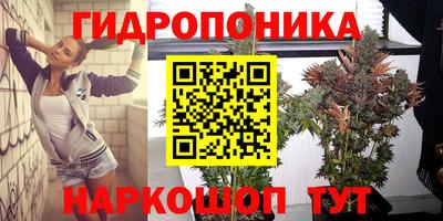 винт Тула