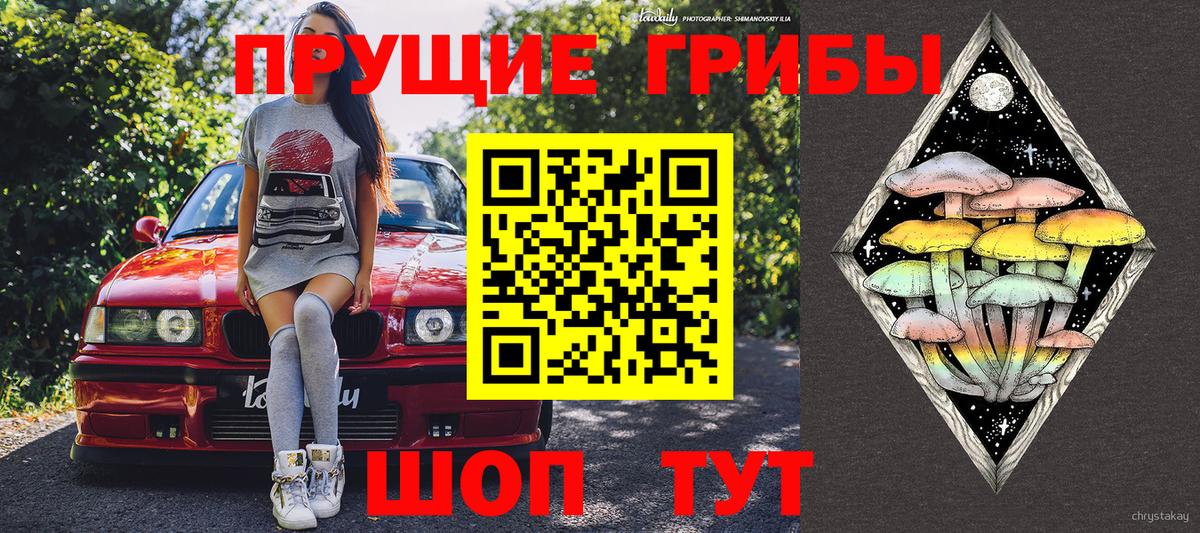 Галлюциногенные грибы GOLDEN TEACHER  Вход с VPN  Протвино  Галлюциногенные грибы Cubensis 