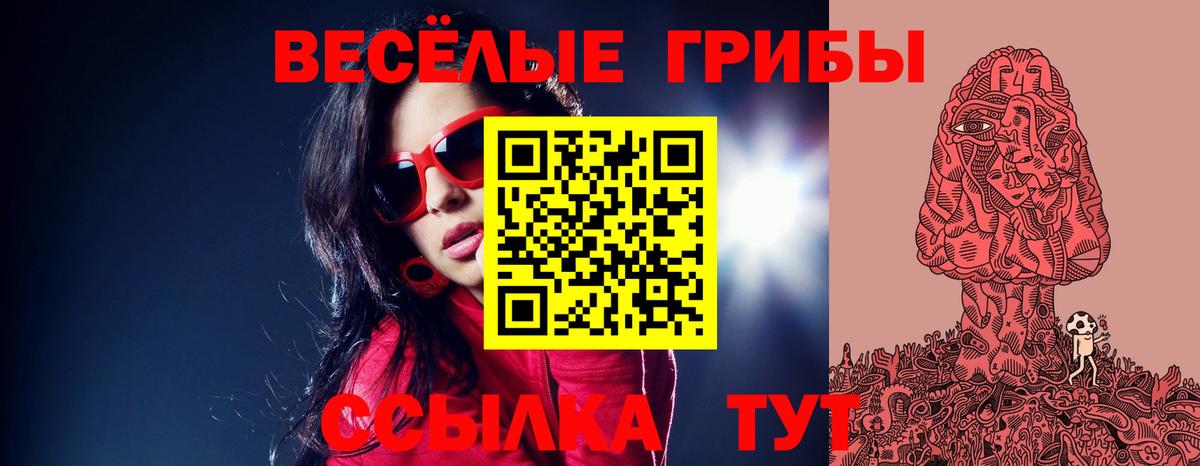 Галлюциногенные грибы Psilocybine cubensis Протвино